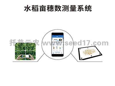 水稻亩穗测产系统